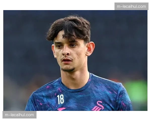 西甲约20%球员来自各俱乐部青训体系，青训水平普遍较高